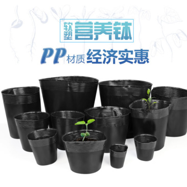 营养钵营养杯营养袋塑料花盆一次性花盆