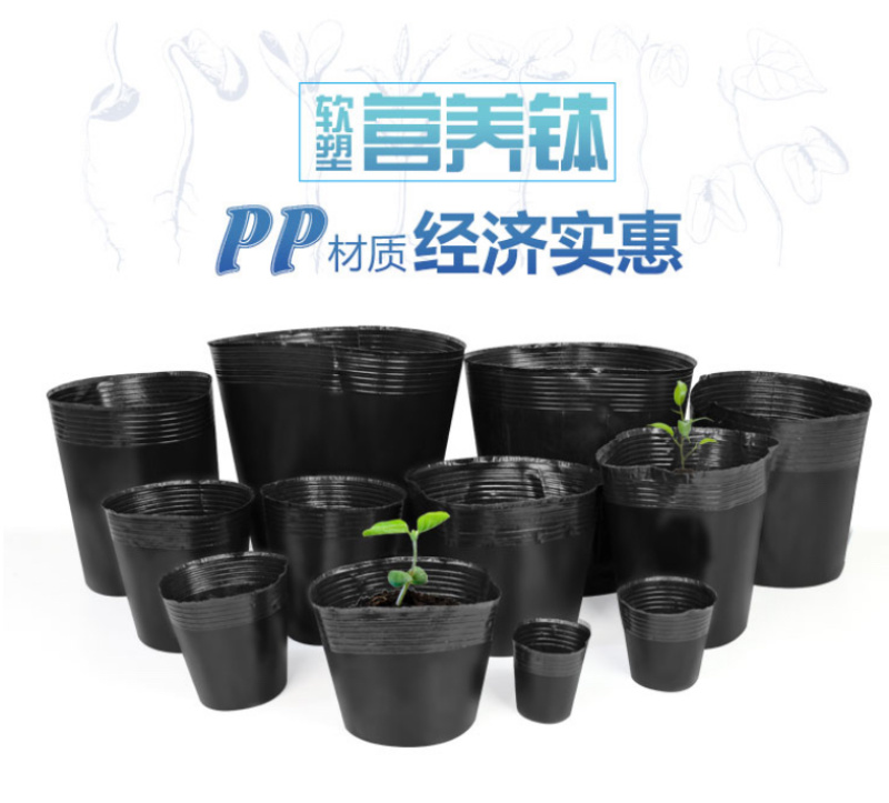 营养钵营养杯营养袋塑料花盆一次性花盆