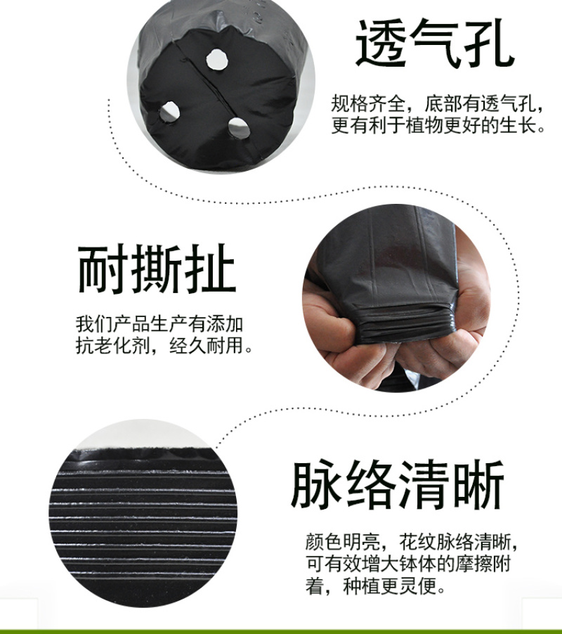 营养钵营养杯营养袋塑料花盆一次性花盆