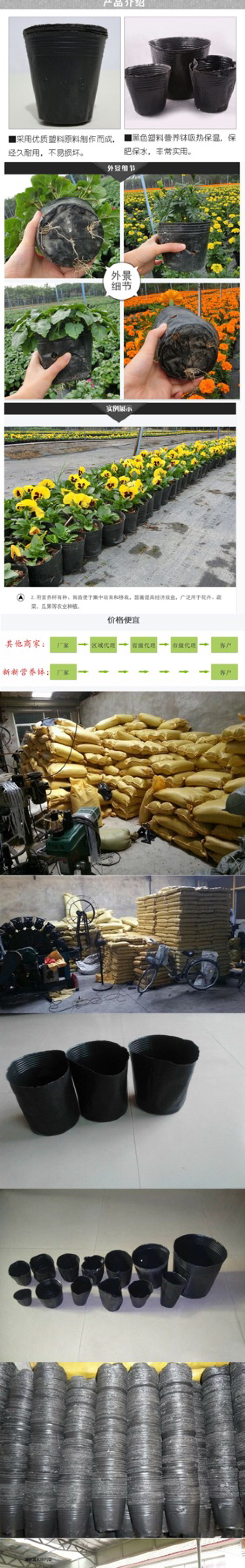 营养钵营养杯营养袋塑料花盆一次性花盆