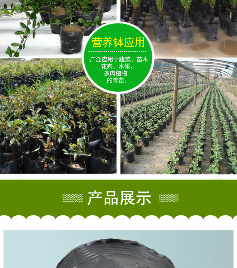 营养钵营养杯营养袋塑料花盆一次性花盆