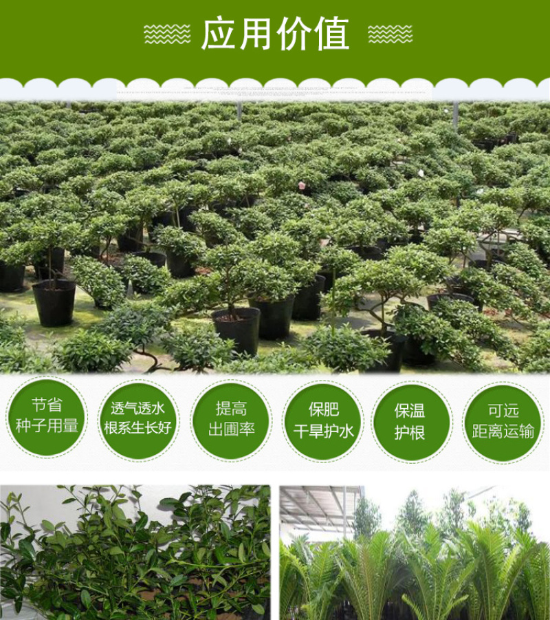 营养钵营养杯营养袋塑料花盆一次性花盆