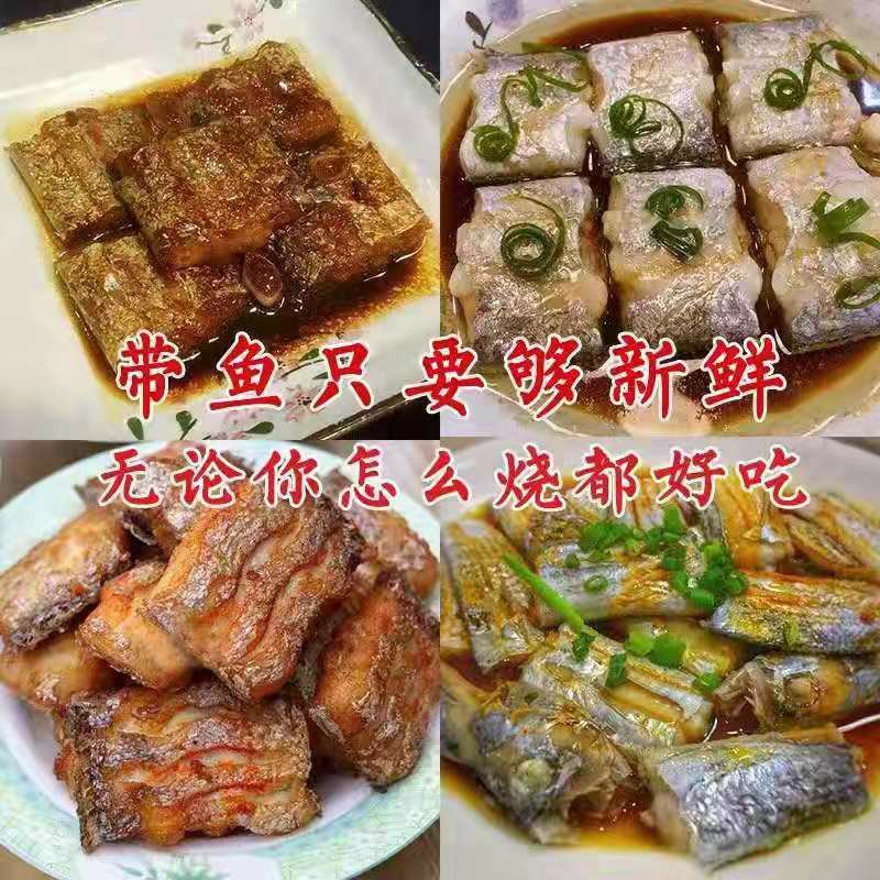 带鱼段冷冻带鱼中段去头去尾带鱼中段