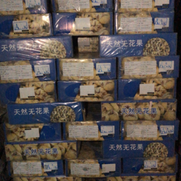 越南天然无花果
