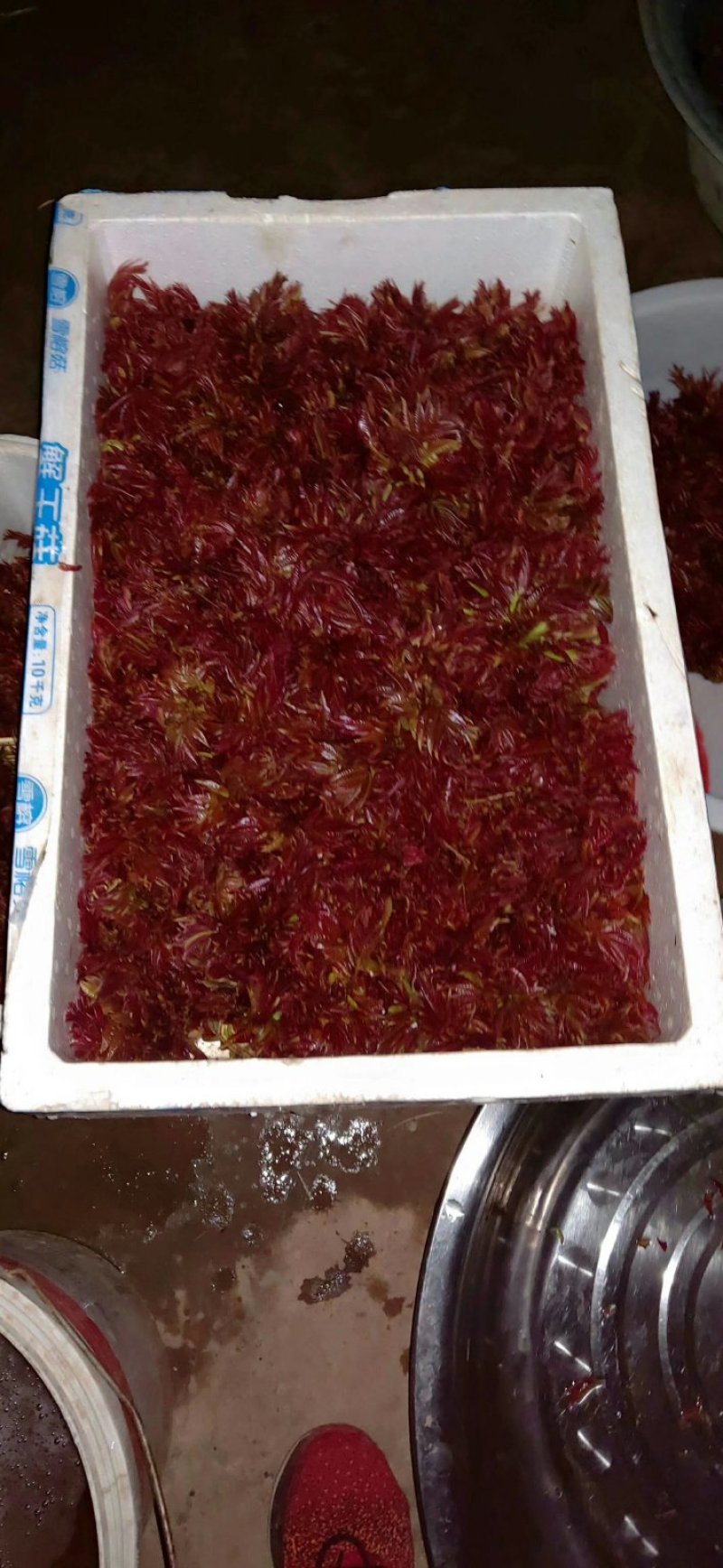 野菜批发