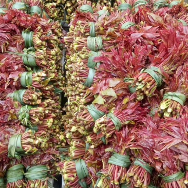 野菜批发