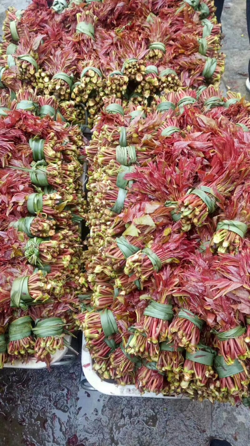 野菜批发