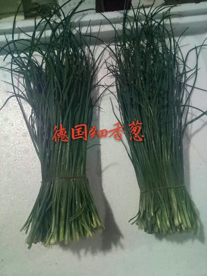 野菜，西菜专卖
