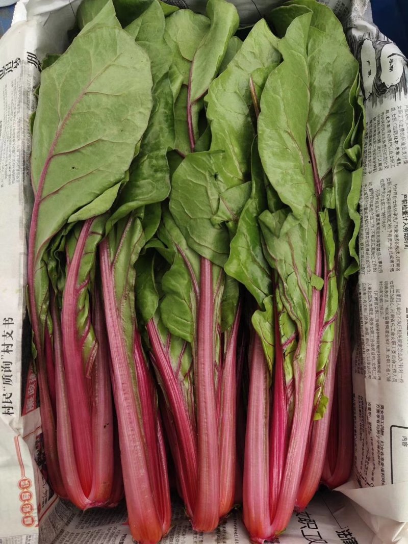 野菜，西菜专卖