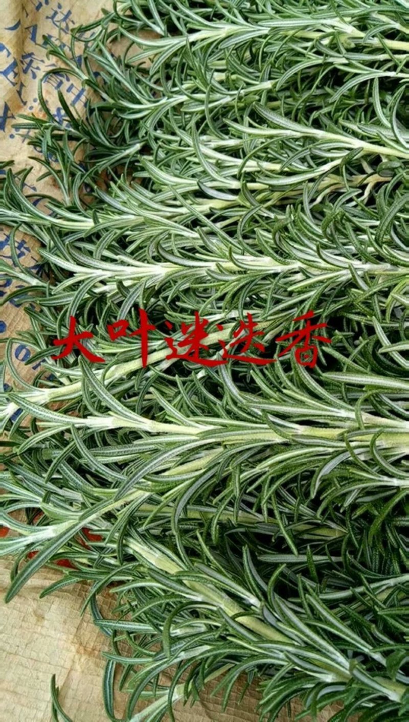 野菜，西菜专卖
