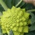 野菜，西菜专卖