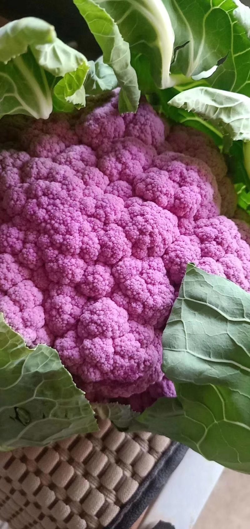 野菜，西菜专卖