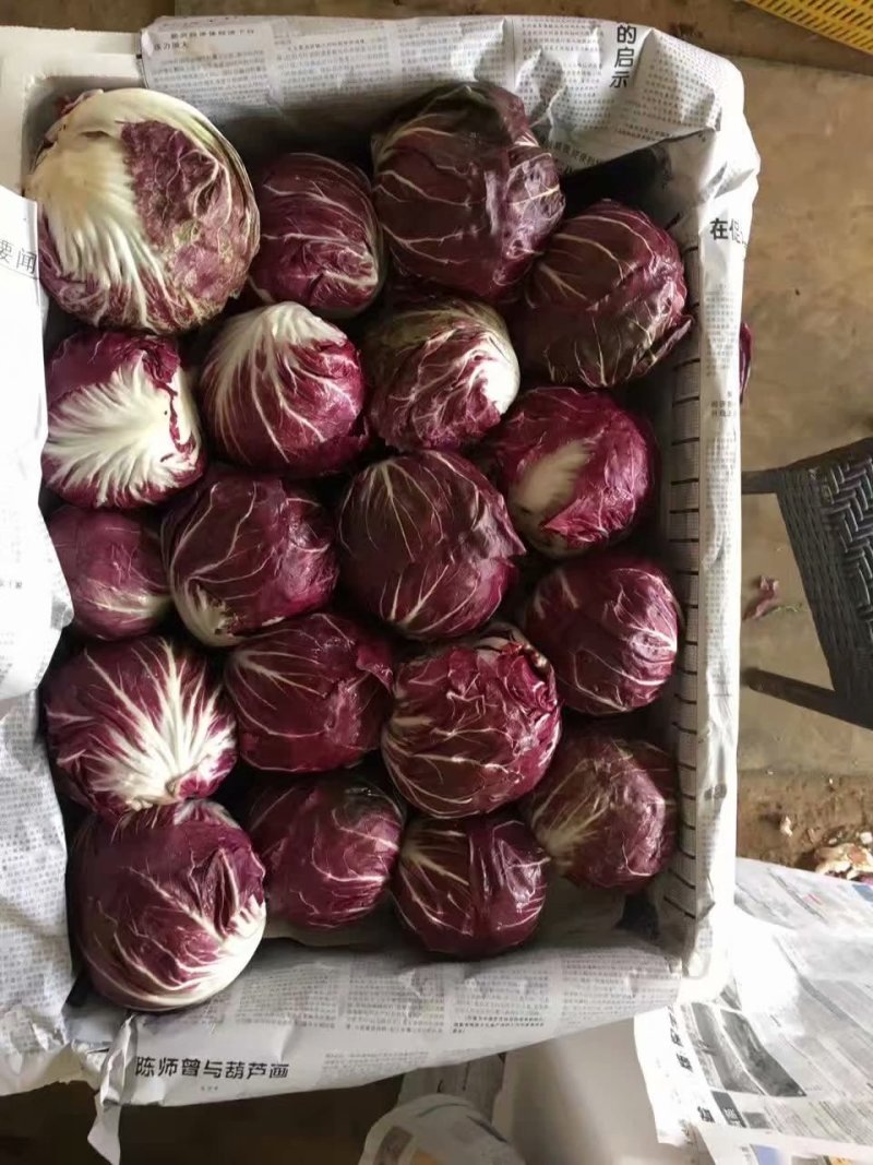 野菜，西菜专卖