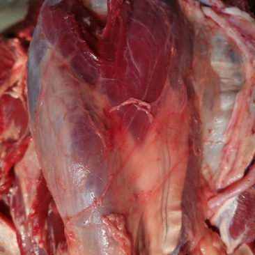 鲜牛肉纯小家牛，全国各地可接单，产地直发