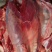 鲜牛肉纯小家牛，全国各地可接单，产地直发