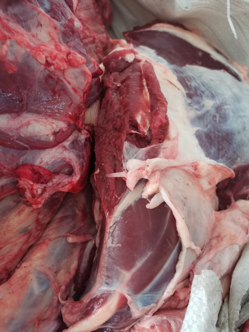 鲜牛肉纯小家牛，全国各地可接单，产地直发
