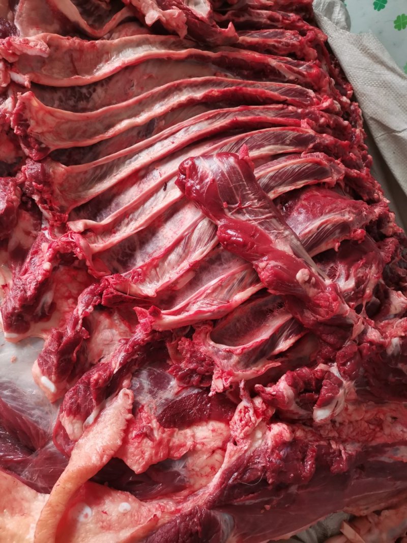 鲜牛肉纯小家牛，全国各地可接单，产地直发