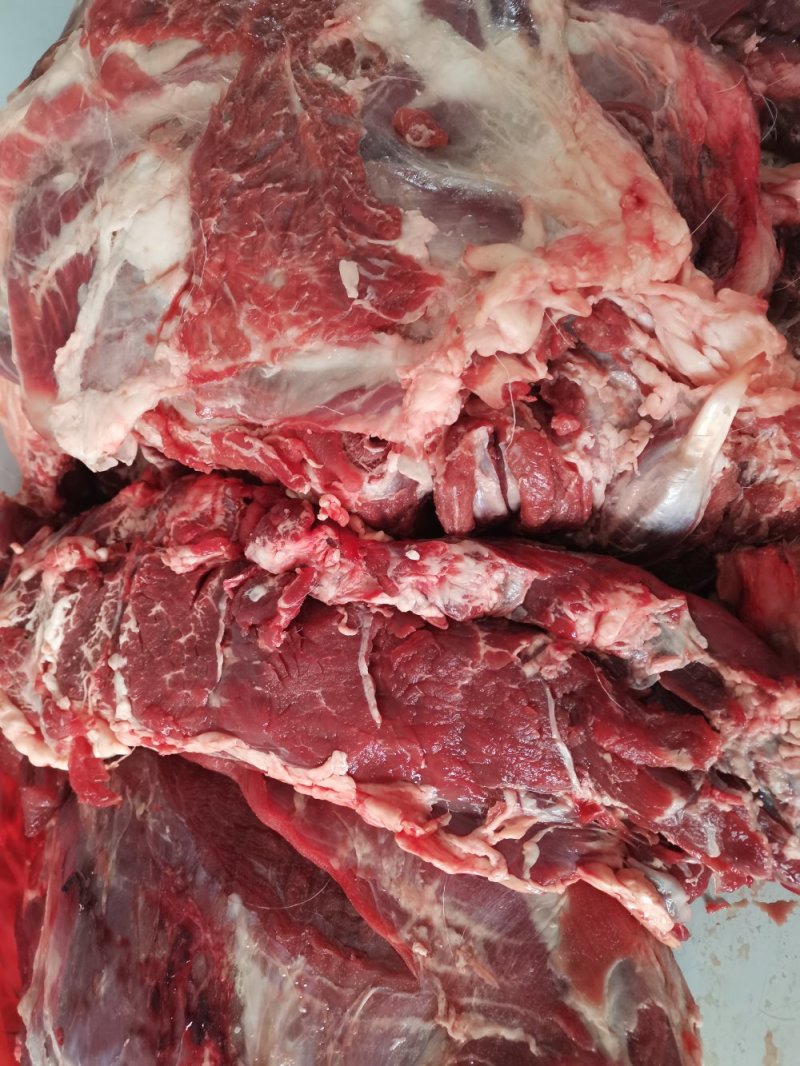 鲜牛肉纯小家牛，全国各地可接单，产地直发