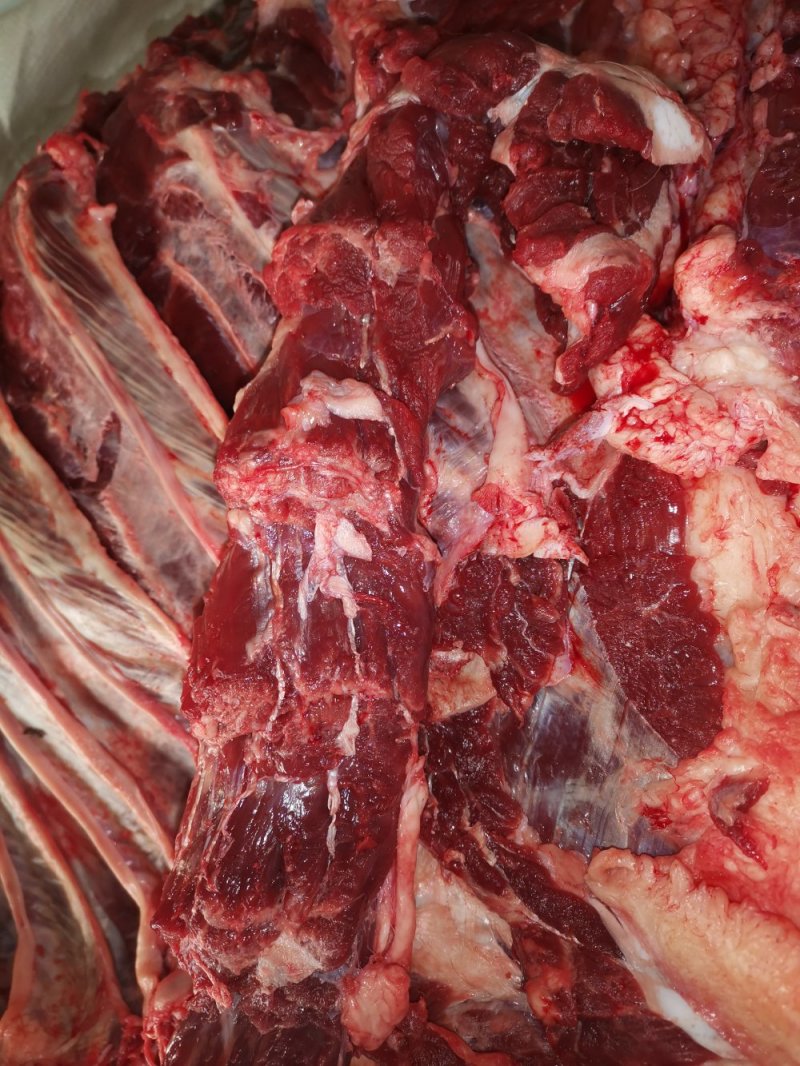 鲜牛肉纯小家牛，全国各地可接单，产地直发