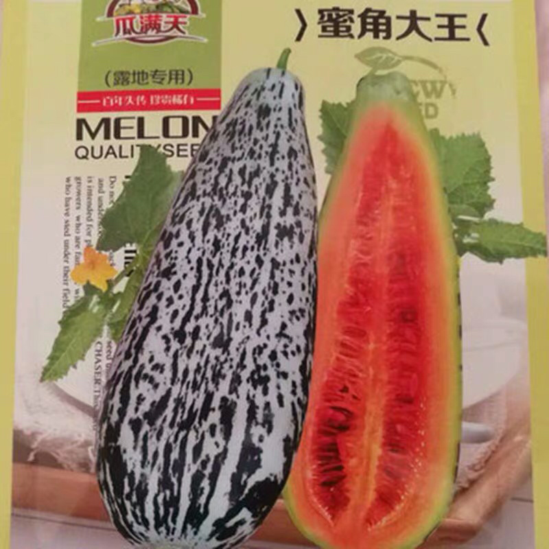 甜瓜种子组合各类好吃的甜瓜种子