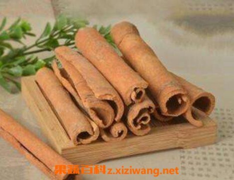 桂皮干出售大量出售