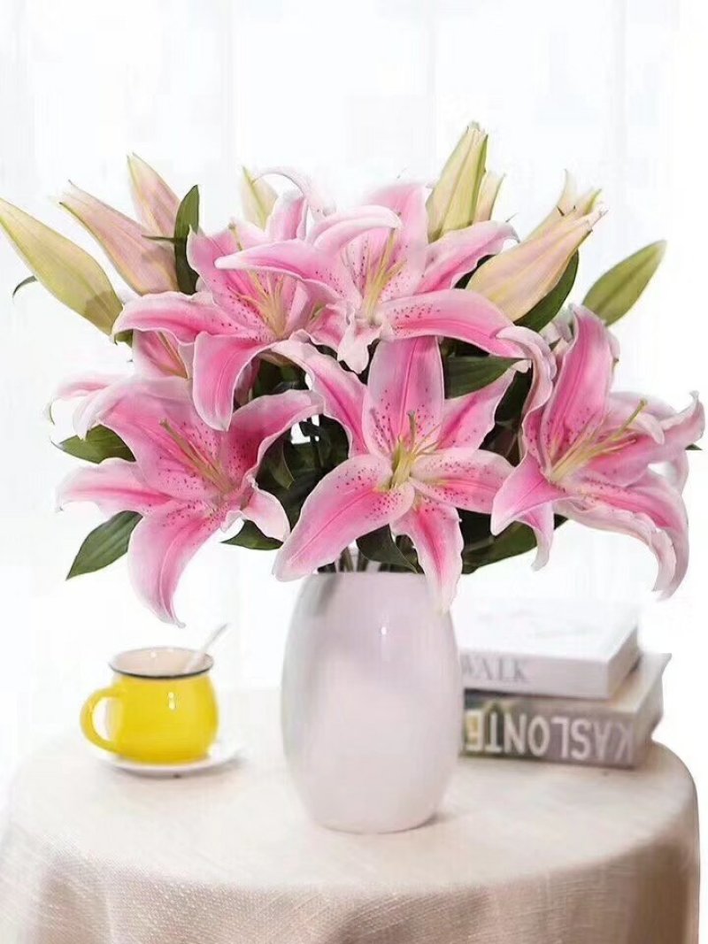 鲜花批发专区百合鲜切花索尔邦云南基地直发可视频看货