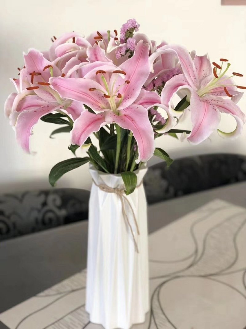鲜花批发专区百合鲜切花索尔邦云南基地直发可视频看货