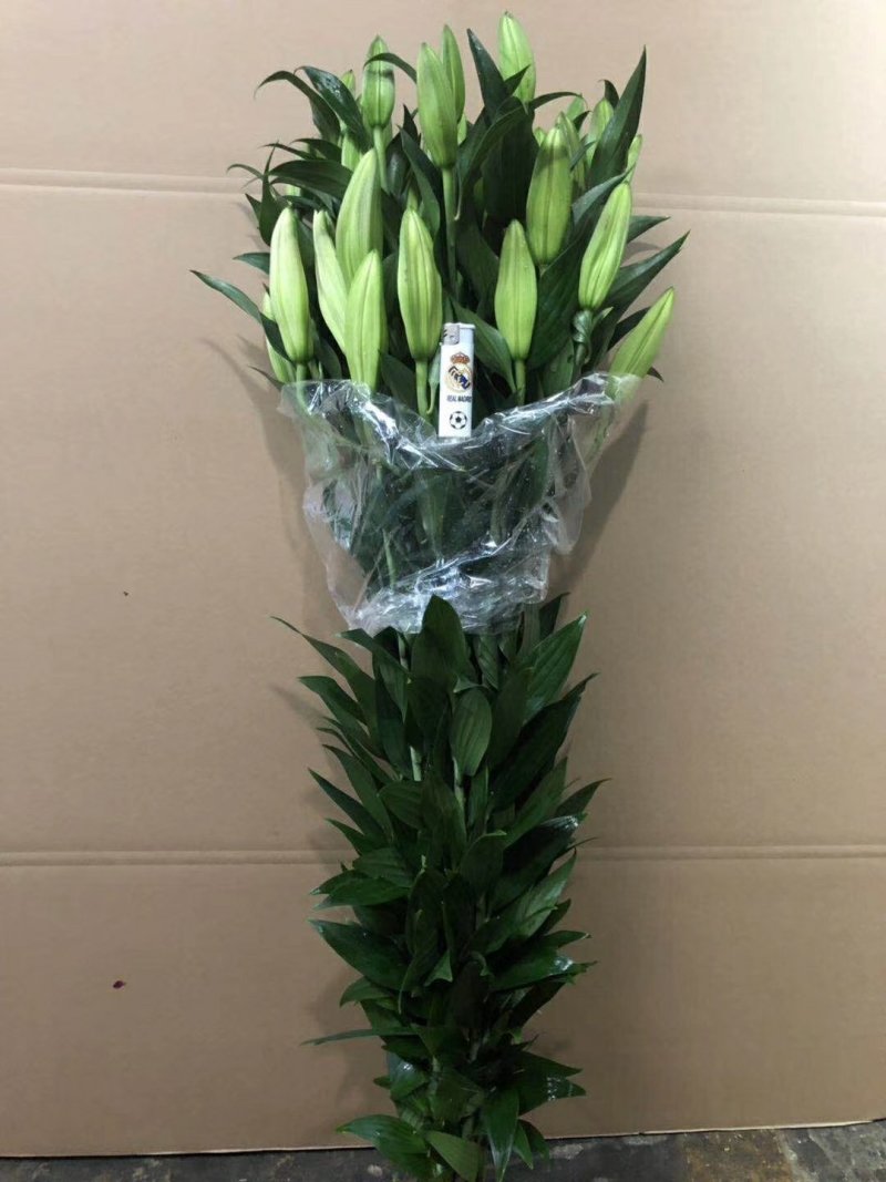 鲜花批发专区百合鲜切花索尔邦云南基地直发可视频看货