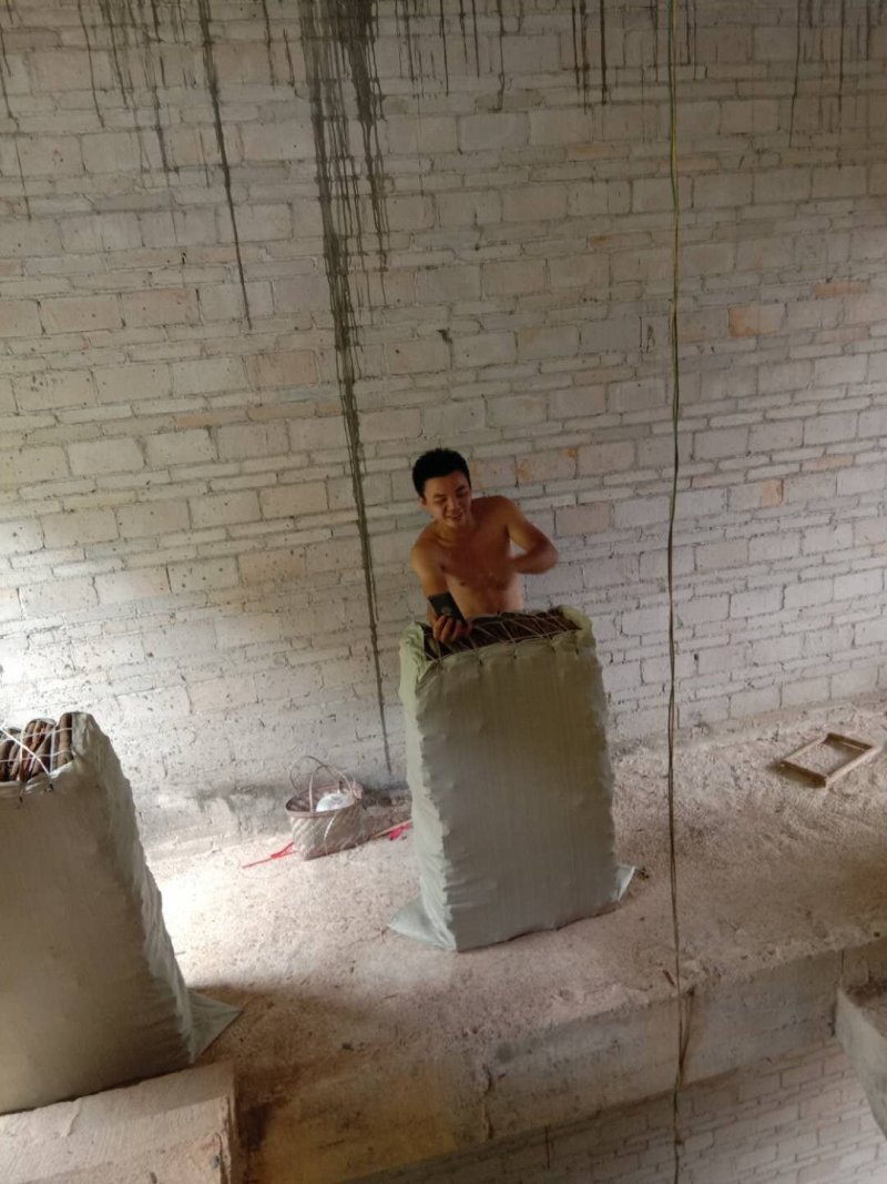 桂皮干出售大量出售
