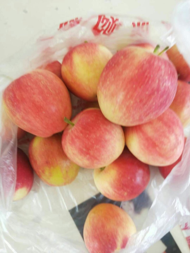 K9无雹伤，今年苹果质量超好，即将上市，欢迎来采购