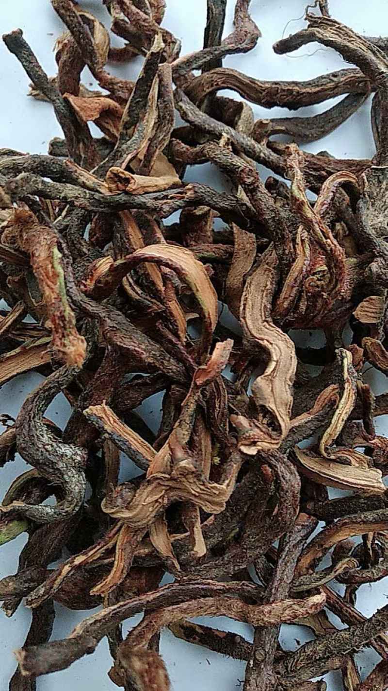 骨碎补肉碎补干货骨碎补干农家初选农副产品