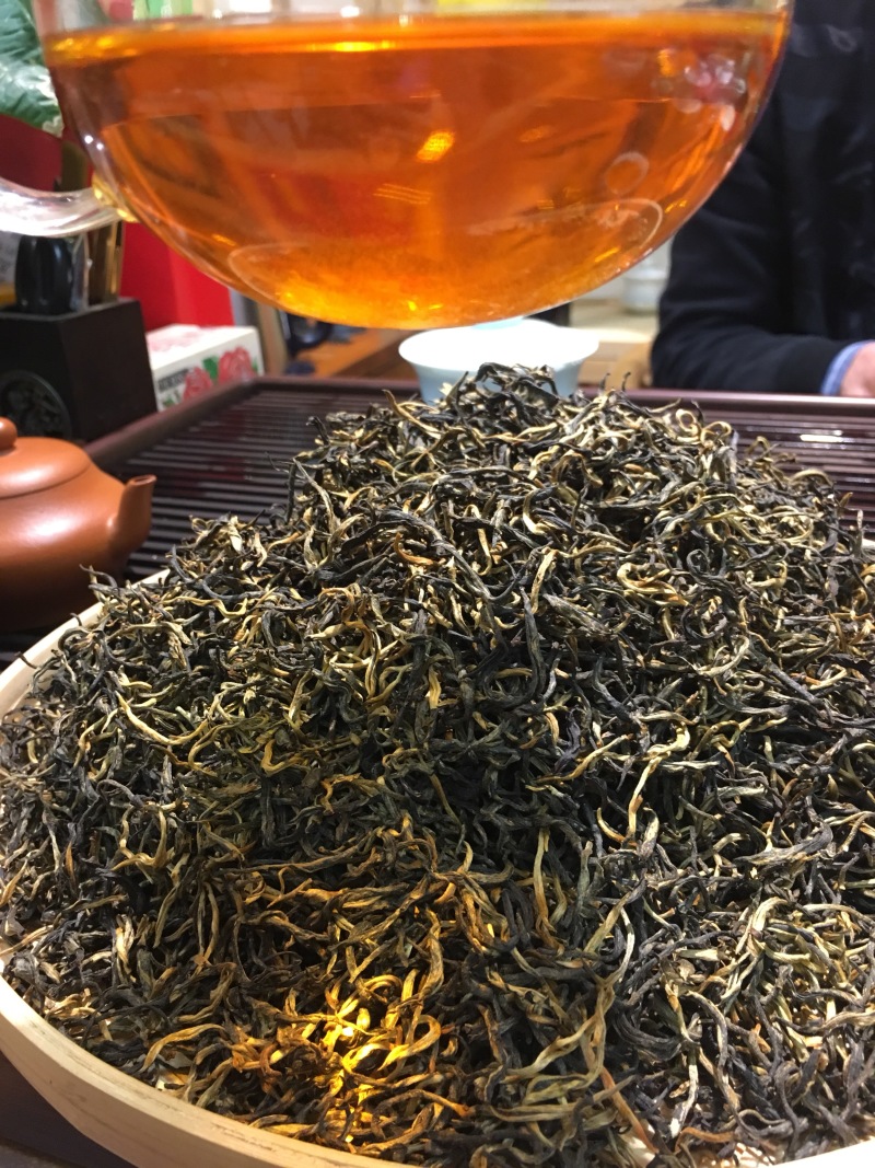 英红九号