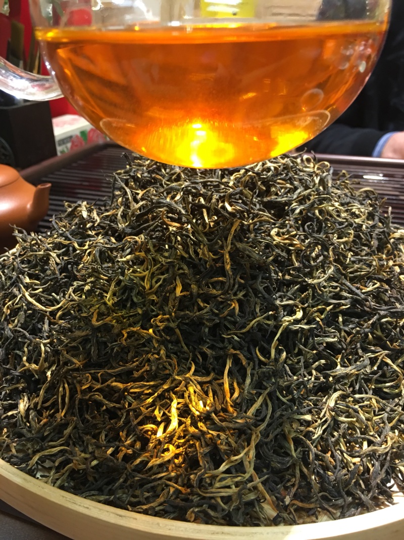 英红九号