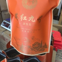 英红九号