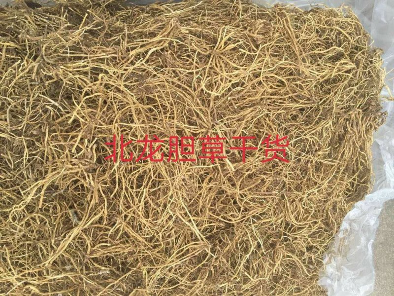 龙胆草苗，种子培育基地大货干货基地直发出芽率高