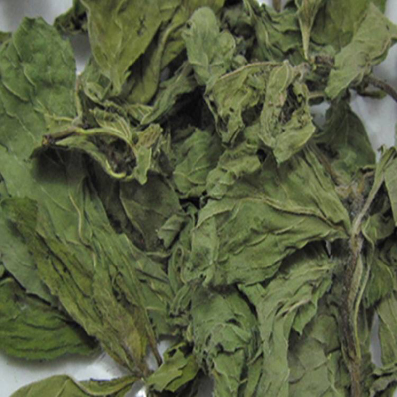 薄荷叶薄荷叶干货农家初选农副土特产品111