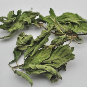 薄荷叶薄荷叶干货农家初选农副土特产品111