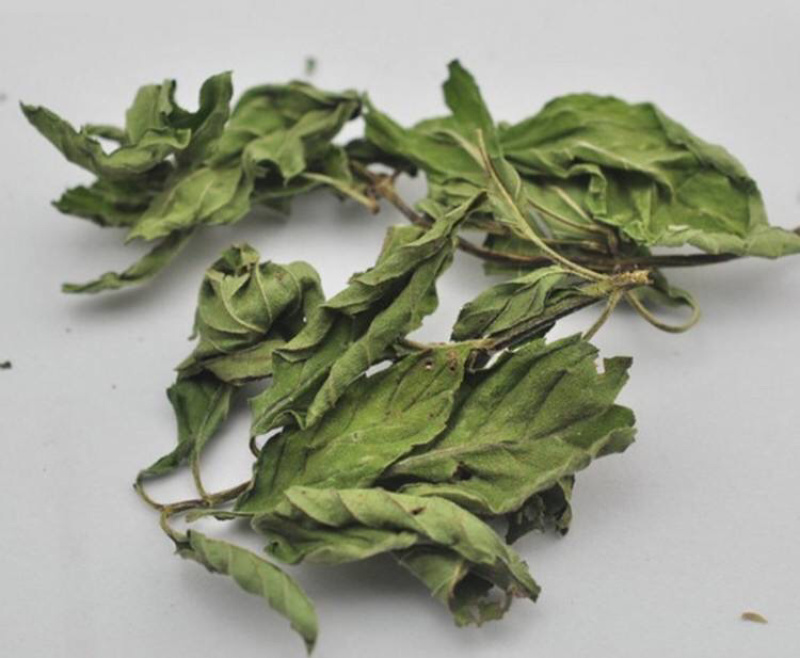 薄荷叶薄荷叶干货农家初选农副土特产品111