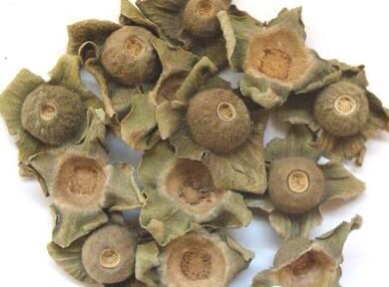 柿蒂柿蒂农家干货农家初选农副产品1234