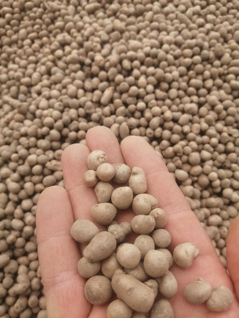 自己种植的白玉山药豆亏本清仓，可以留种子用