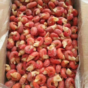 好不好看质量精品龙虾尾
