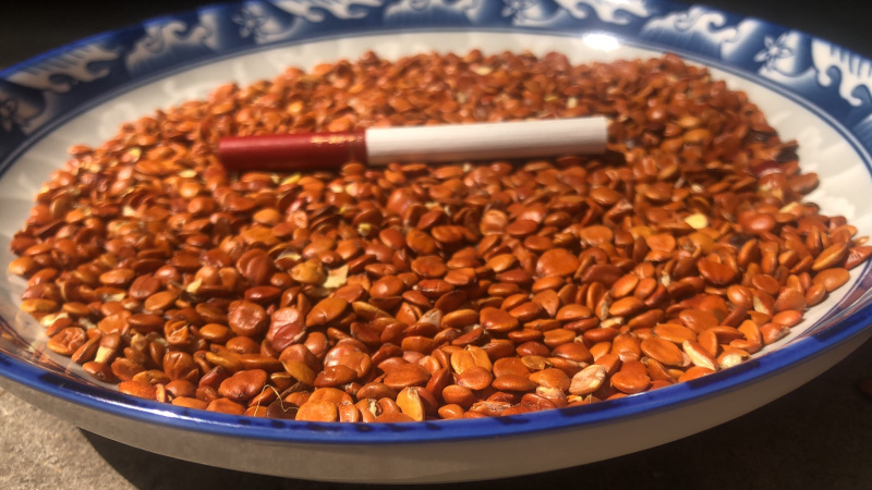 酸枣仁大货批发产地直发，有量有价，欢迎各位老板前来咨询。