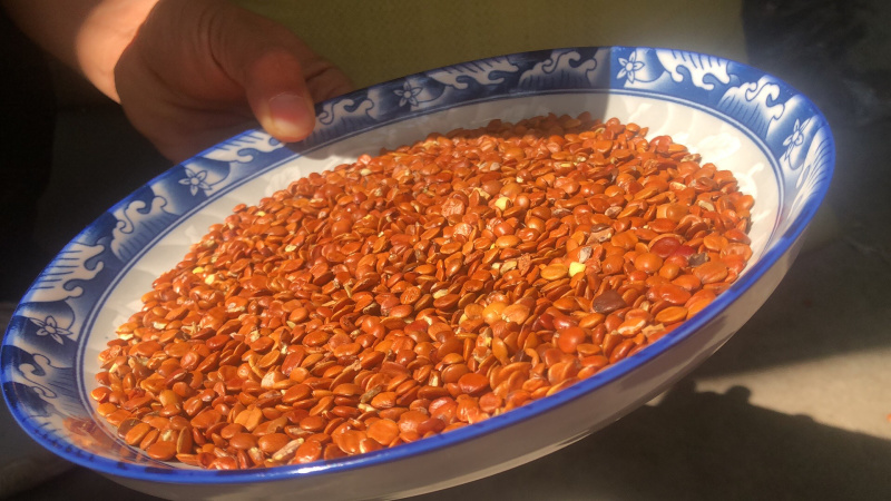 酸枣仁大货批发产地直发，有量有价，欢迎各位老板前来咨询。