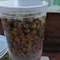 菊花品种多多有喝茶的有药用的有精品小包装