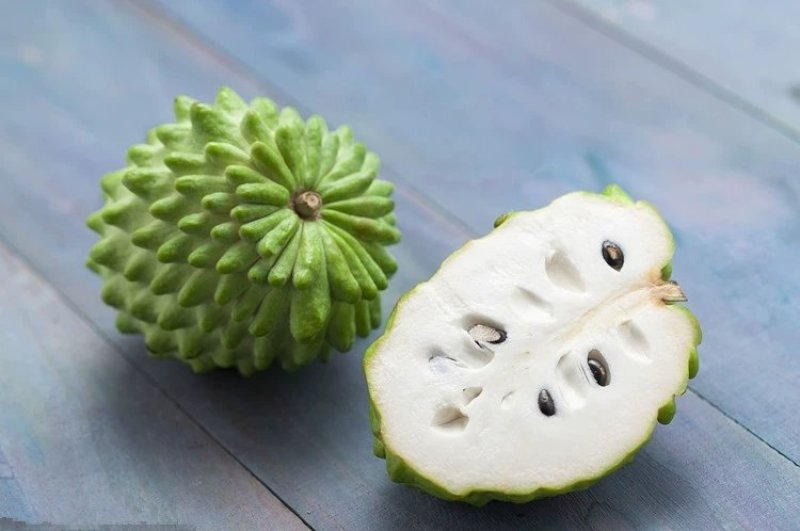 佛陀果番荔枝苗台湾释迦果苗番荔枝树苗佛头果凤梨释迦果树苗