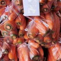 江苏东台精品胡萝卜大量供货。需要的客户我，