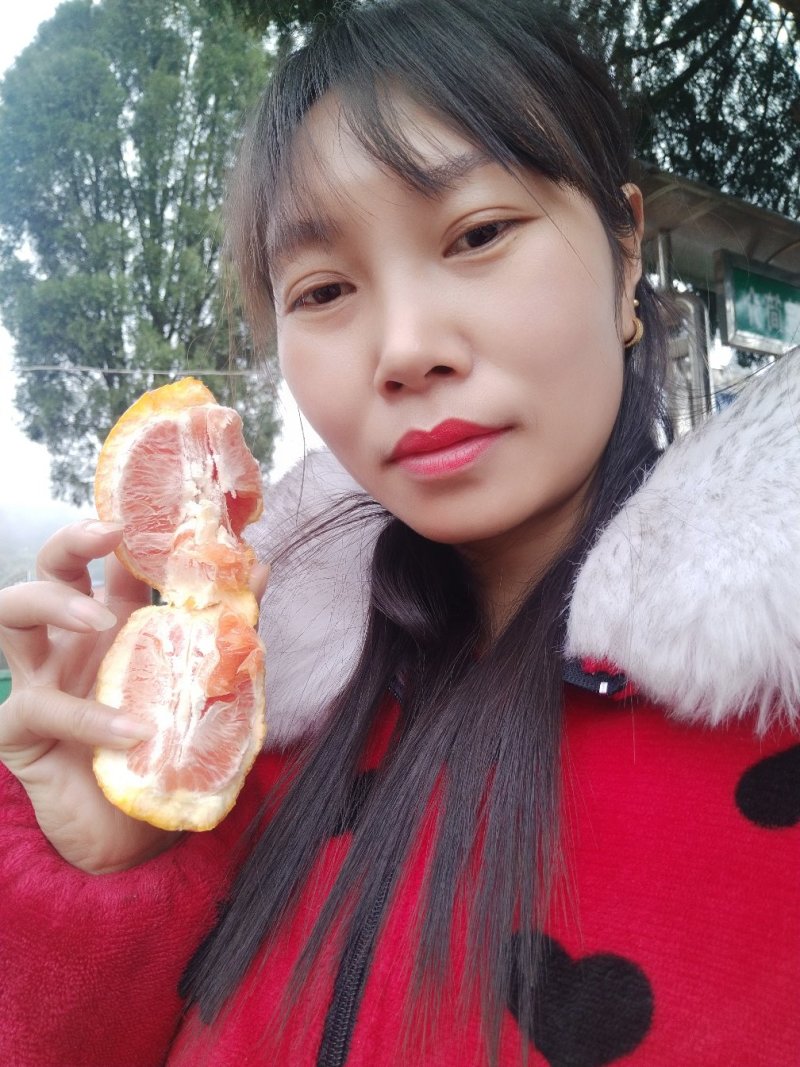 秭归橙子，中华红，血橙，果大皮溥囗感好颜色鲜，可视频看货