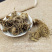 藜芦黎芦力芦梨芦山葱憨葱七里丹