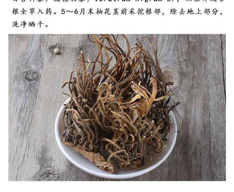 藜芦黎芦力芦梨芦山葱憨葱七里丹