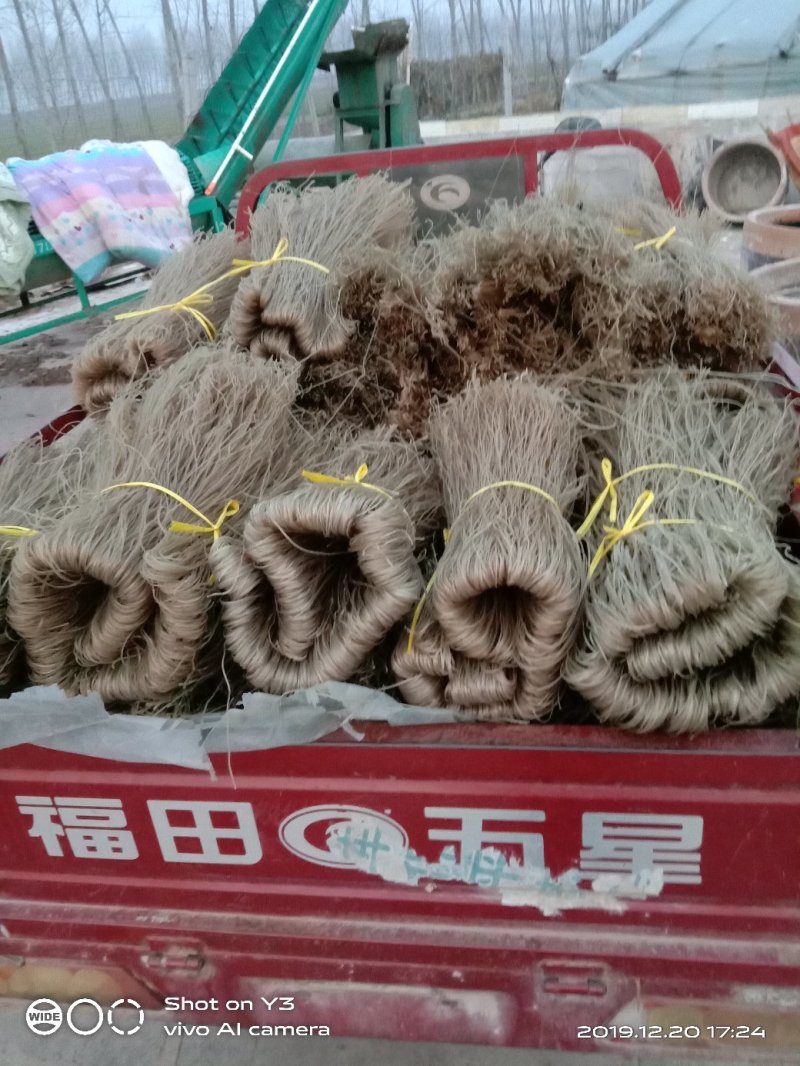 粉条